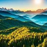 AFarm profil fotoğrafı
