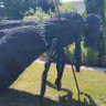 Pollet Salomé profil fotoğrafı