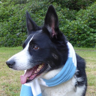 Barney_City's profile picture