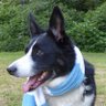 Barney Blue Moon profil fotoğrafı