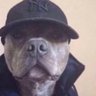 Rosco profil fotoğrafı