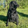 Profilbild von Xander74
