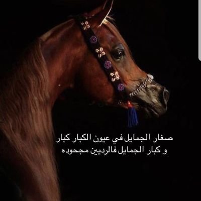 i_uxl2's profile picture