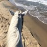 امجـاد 的头像