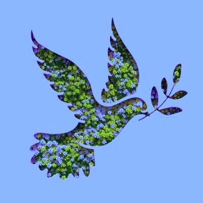 cupppa's profile picture