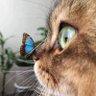 TK ☮️'s profile picture