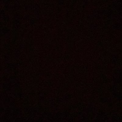 Carolina Montenegro's profile picture