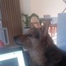 Tha profil fotoğrafı