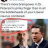 Democracy is an important feature of Canadian life 的头像