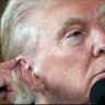 Trump Wasn't Shot's profile picture