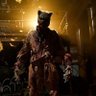 Фото профиля TIGER CAT VIOLENT