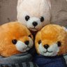 Profilbild von おーちゃん
