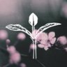 Sapling's profile picture