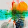 Фото профиля 112###