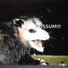 Brett 's profile picture