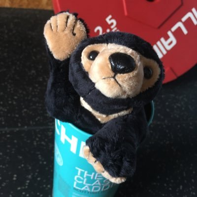 マレーイワ(ジムやってます!!)'s profile picture