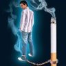 Mankafa's profile picture