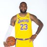 LeBron James Parody 的头像