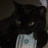 Profilbild von brian
