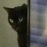 Vivienne's profile picture