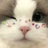 Profilbild von ลาลิน