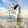 dae's profile picture