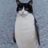 Profilbild von Degm