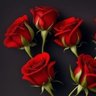 بحر's profile picture