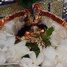রেশমী দে (Reshmee Dey)🇮🇳🇮🇳's profile picture