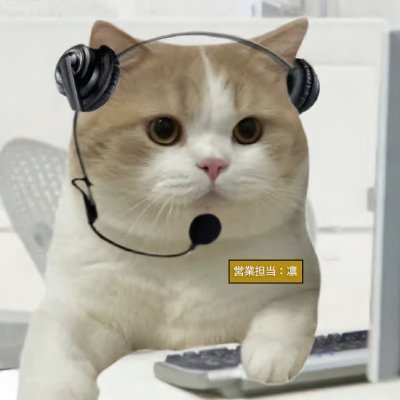 rinrinsohimi's profile picture