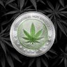 NakamotoVibes 的头像