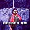Ceeded CM 🦅's profile picture