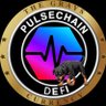 Фото профиля PulseChainDeFi 👽 🛸