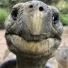 chelsea's profile picture