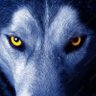 SigmaTrades's profile picture