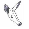Aardvark profil fotoğrafı