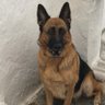 Alex90 profil fotoğrafı