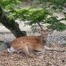 みなと profil fotoğrafı