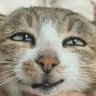 yihe profil fotoğrafı
