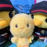 🐥はぃら(6v6) profil fotoğrafı