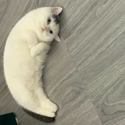 klandestinblue's profile picture
