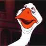 zio reginaldo's profile picture