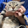 りく 的头像