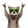 Profilbild von stn