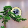 Фото профиля 天天抖擞