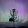 Profilbild von Memphis' #1 Titans Fan