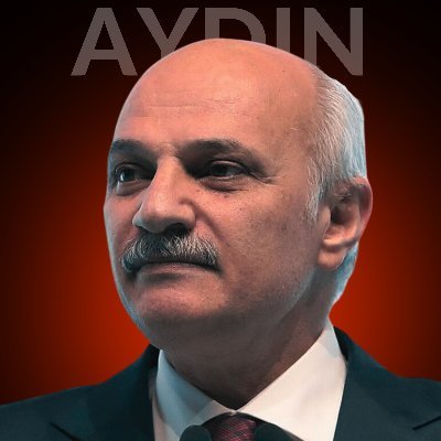 birolaydinefekt's profile picture