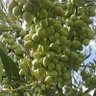Фото профиля Ali .M .M
