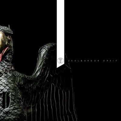 zealandardor's profile picture