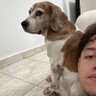 Profilbild von Adrian